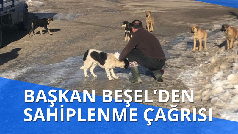 BAŞKAN BEŞEL’DEN SAHİPLENME ÇAĞRISI